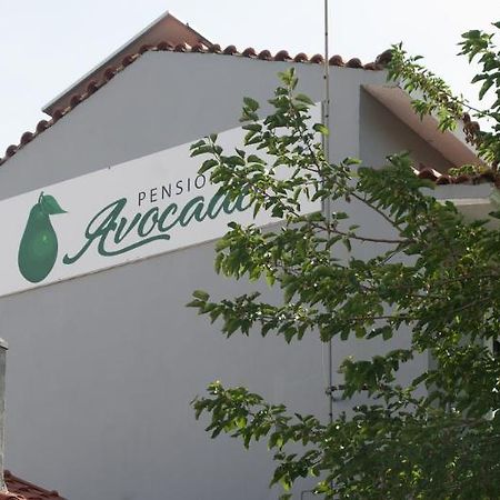 Pension Avocado İskados Dış mekan fotoğraf